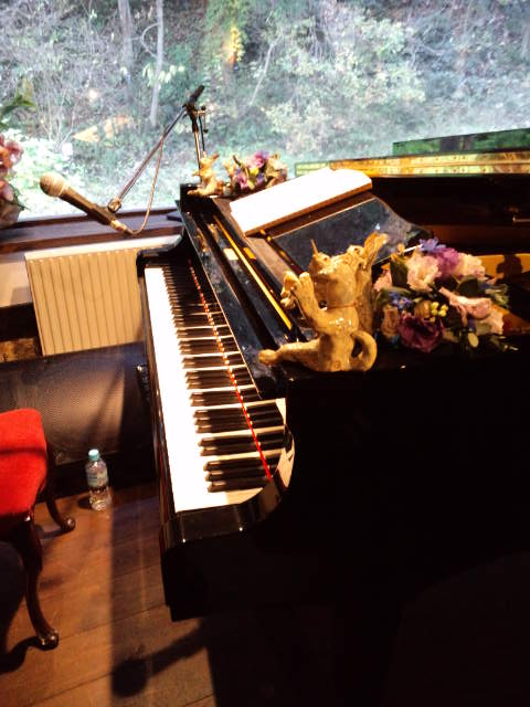 ハセガワミヤコ ライブ_b0207514_1924856.jpg