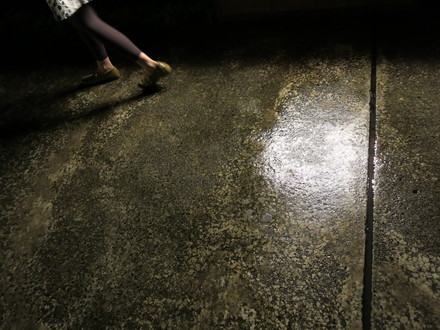 夜の雨_b0207514_22224968.jpg