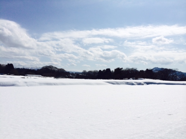 講座開講のお知らせ(まずは宣言 笑)_b0207514_1835368.jpg