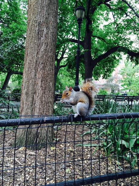 New York Cityへ その5~最終日~_b0207514_11305133.jpg