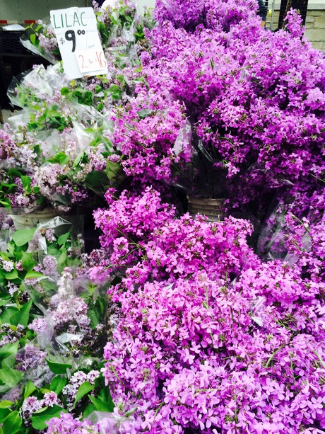 New York Cityへ その5~最終日~_b0207514_1130633.jpg